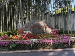 -上海醉白池公园