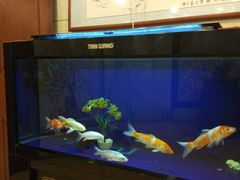-五大龙池温泉宝石浴(繁荣店)