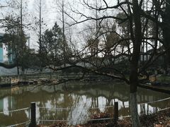 -瀛洲公园