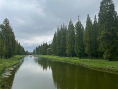 -黄海国家森林公园