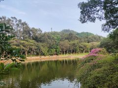 -东莞植物园