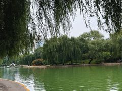 -团结湖公园