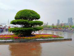 -渭滨公园