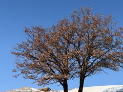 -克什克腾世界地质公园青山景区