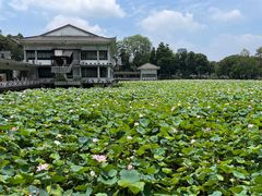 -荔湾湖公园