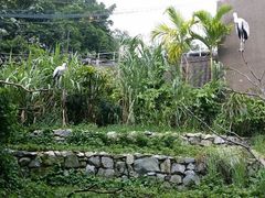 android_upload_pic-河川生态园