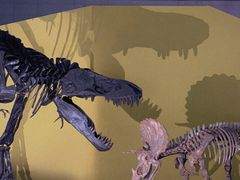 -湖南省地质博物馆