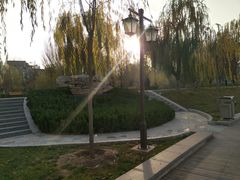 -雁滩公园