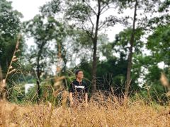 -南宁良凤江国家森林公园