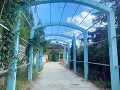 -军营村