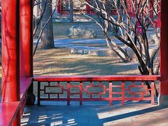 -碑林公园