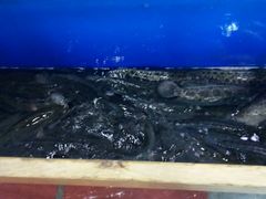 -活鱼馆(宜兴埠店)