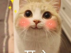 -靓靓蒸虾(中山公园店)