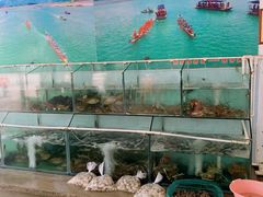 -蚝乡农庄(铁涌赤岸店)