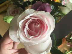 -荷兰布尔玛国际花艺学院