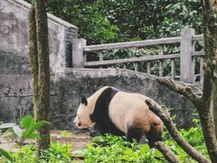 -碧峰峡风景区