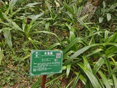 -广西壮族自治区药用植物园