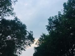 -广东外语外贸大学(白云山校区)