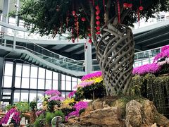 -南通洲际绿博园