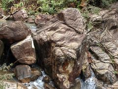 -广州白江湖森林公园