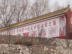 -东方巨龟苑景区