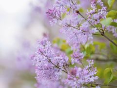 -山东大学(兴隆山校区)