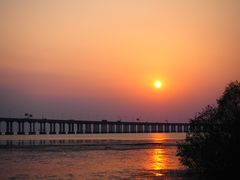 -宝安西湾红树林湿地公园