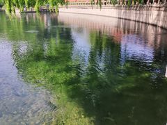 -百脉泉景区