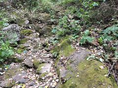 -雾灵西峰