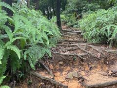 -梧桐山风景名胜区
