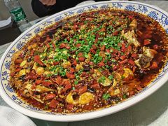 -新概念来凤鱼(璧山店)
