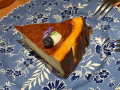 -O'eat Blossom&Pelican(深圳首店)