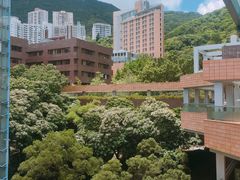 -香港大学
