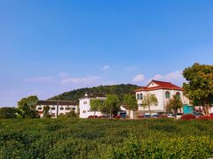 -树山生态村