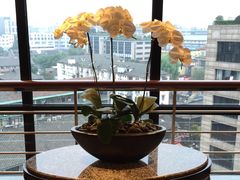 -杭州君悦酒店