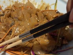 东北大拉皮-大鸭梨烤鸭店(花园村店)