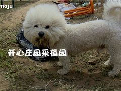 dsc08075_副本-开心庄园