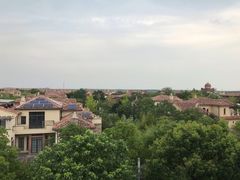 -上海崇明金茂凯悦酒店