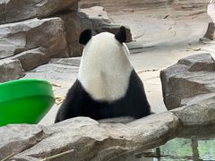 -宁波野生动物园