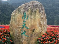 -广州市石门国家森林公园
