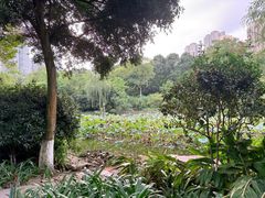 -龙头寺公园