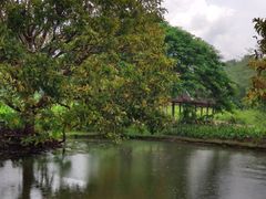 -中国科学院西双版纳热带植物园