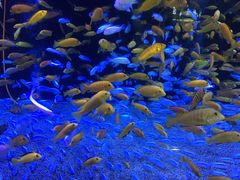 -成都浩海立方海洋公园