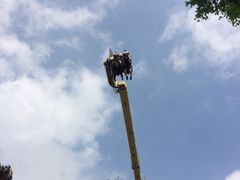 -东部华侨城