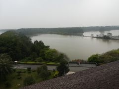 -大湾区中央湿地公园