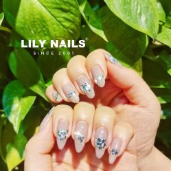 -LILY NAILS美甲美睫