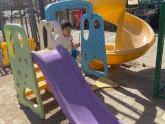 -大自然农场蔬菜草莓采摘园