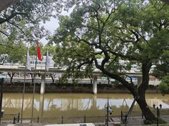 -广东胜利宾馆西关粤中餐厅