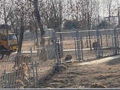 -合肥野生动物园