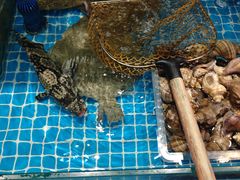 -良师门滨海人家·海鲜·家常菜(滨海城店)